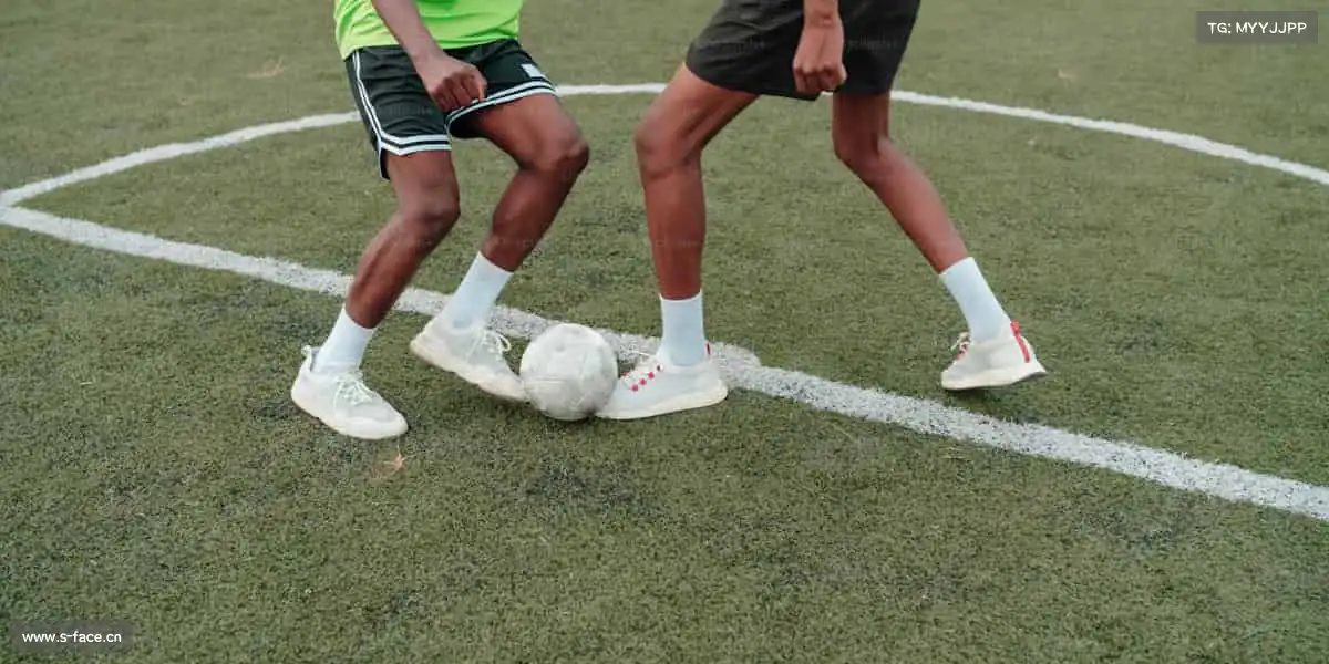 行业领先的理由